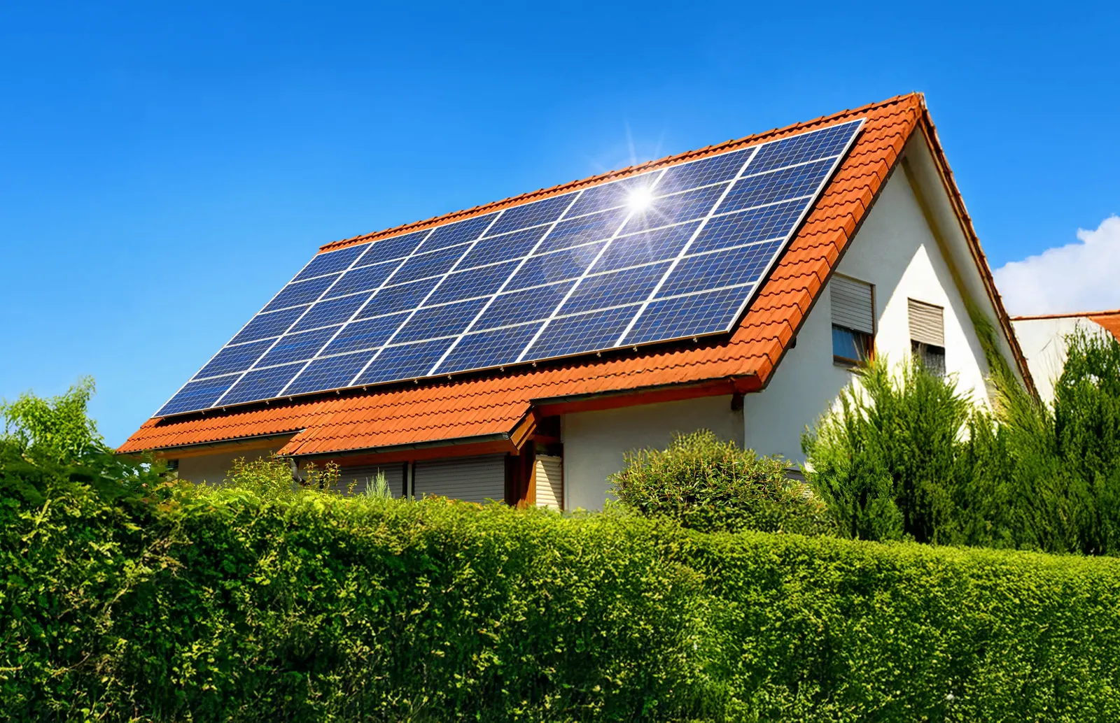 SunLead case study hero image
