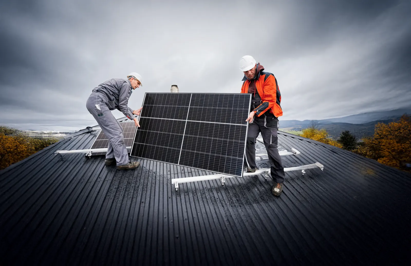 Sunny Energy RX case study hero image